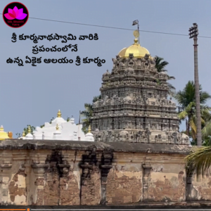 sri kurmam temple